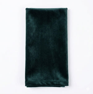 The Charlotte Forest Green Velvet napkin, a rectangular piece of luxurious velvet, is neatly folded and displayed on a plain white background.