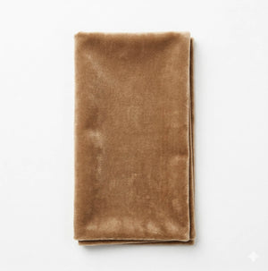 A neatly folded Charlotte Ivory Velvet napkin sits on a plain white background, highlighting its luxurious fabric and elegant appeal, ideal for sophisticated settings.