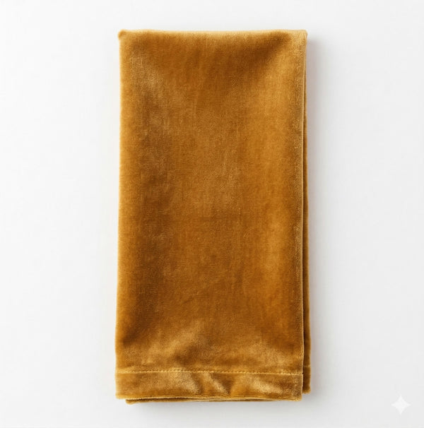 A Charlotte Soft Orange Velvet napkin, crafted from luxurious velvet, is neatly folded on a plain white background.